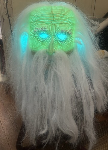 Gandalf wizard cosplay costume - cosplay,