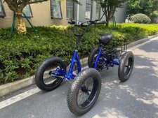 Lightweight Fat Tire 750w/48v