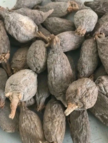 Pods alligator pepper - pods,
