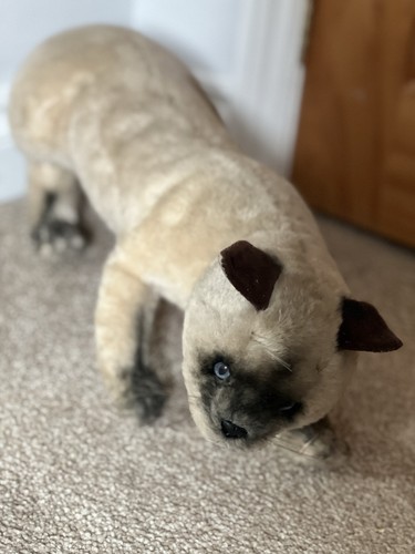 Avanti stuffed cat - avanti,