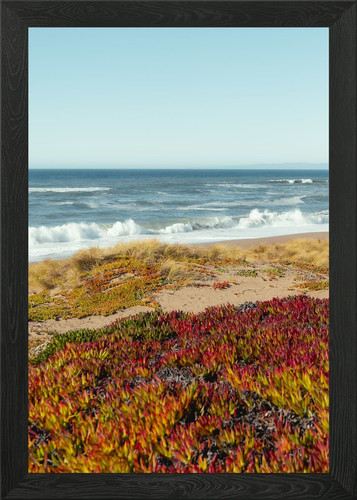 Point reyes beach - reyes,