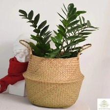Folding Seagrass Woven Storage