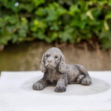 Adorable Small Lying Spaniel