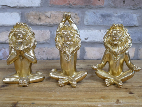 Set yoga lions - set, 3