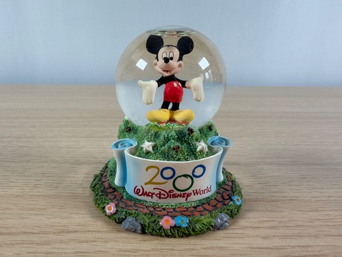 Walt disney world 2000 - world,