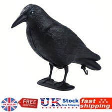 Pigeon scarer life size decoy - pigeon,