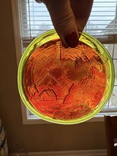 New Blenko Pressed Glass WV