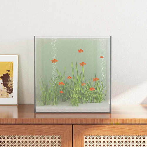Aquarium with storage - aquarium,