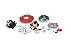 Malossi 5516953 Set Ignition