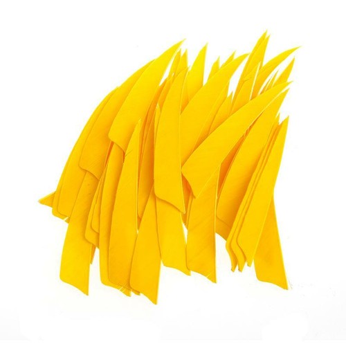 50pcs inch shield shape - inch,