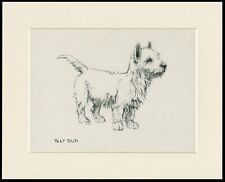 WEST HIGHLAND WHITE TERRIER WESTIE PUP 1933 DOG SKETCH PRINT KF BARKER MOUNTED