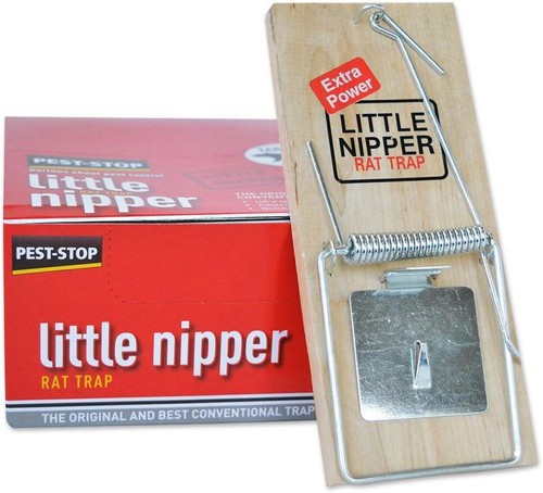 Pest stop little - little, nipper