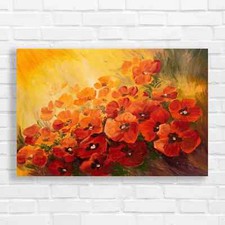 Vibrant Orange Poppy Field