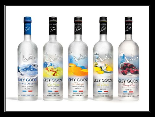 Grey goose vodka art - goose,
