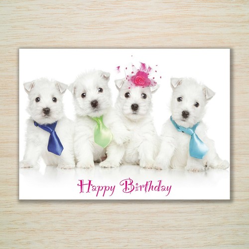 Westie birthday card party - westie,