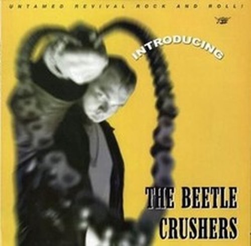 Beetle crushers introducing - beetle,