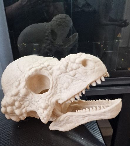 Dinosaur skull decorative - dinosaur,