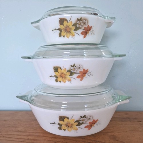 Pyrex autumn glory - pyrex, vintage