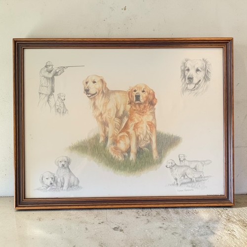 Nigel hemming golden - nigel,