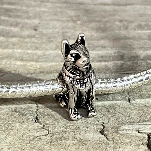 German shepherd dog puppy - shepherd,