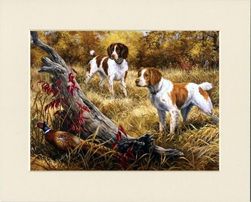 Brittany spaniel dog art - brittany,