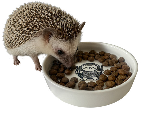 Ceramic hedgehog food - bowl, –