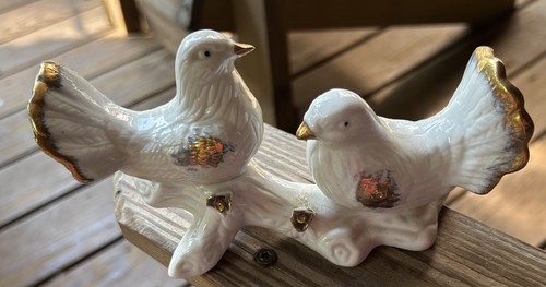 Lovely white fantail pigeons - lovely,