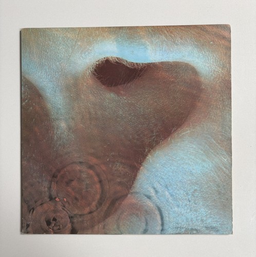 Pink floyd meddle - floyd, vinyl