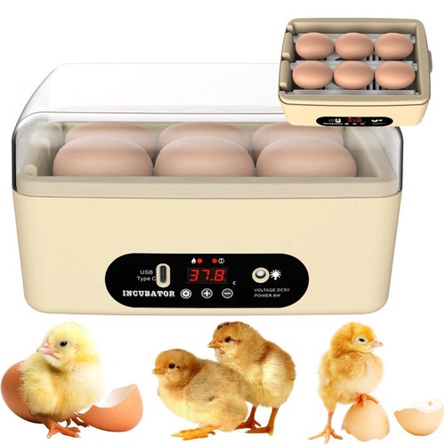 Egg incubator for - 6,