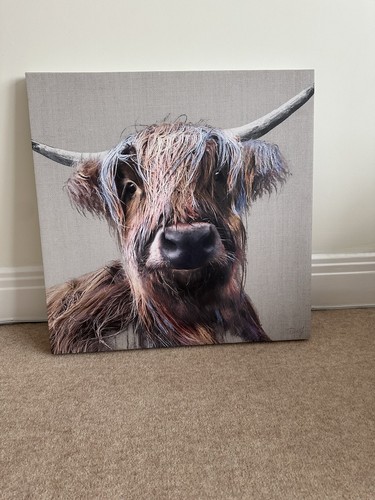 Highland cow painting - highland,