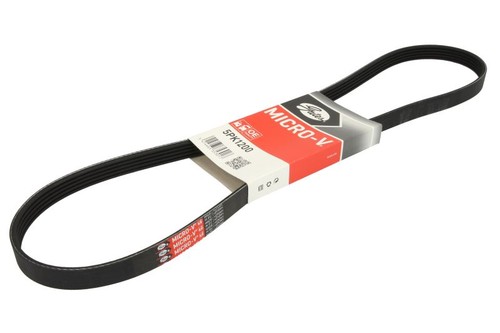 Gat multi ribbed belt - gat, fits