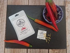 Kashmiri Mirch Chilli Pepper Seeds 15 Pack.  Mild  Variety.
