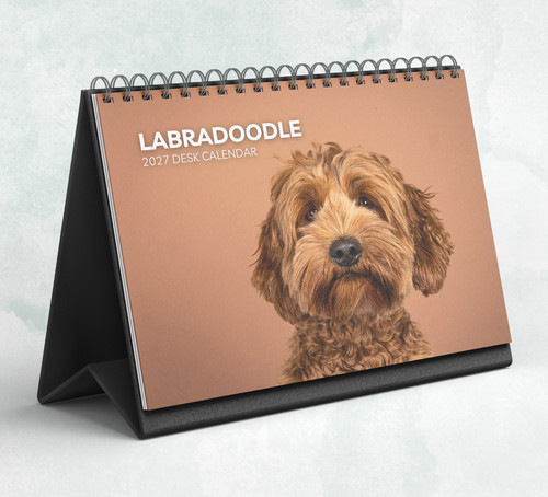 Labradoodle desk calendar - labradoodle,