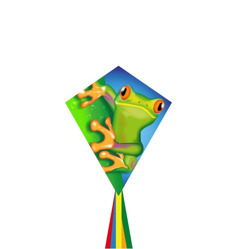 Eddy froggy kite 70cm ages - froggy,