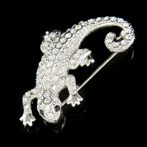 Iguana lizard reptile gecko - lizard,