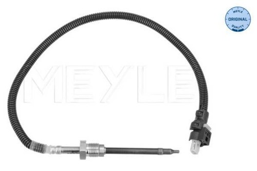 Exhaust gas temperature - gas, sensor