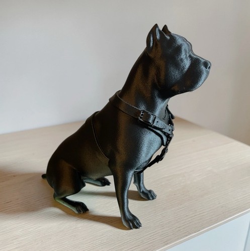 Stunning bully pitt - bully, -pitt
