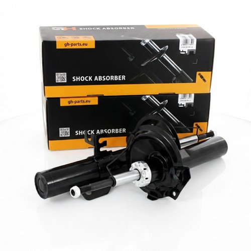Gas shock absorbers front - 2x,
