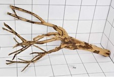 Premium Natural Amazon Theme