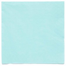 Duck Egg Blue Party Supplies