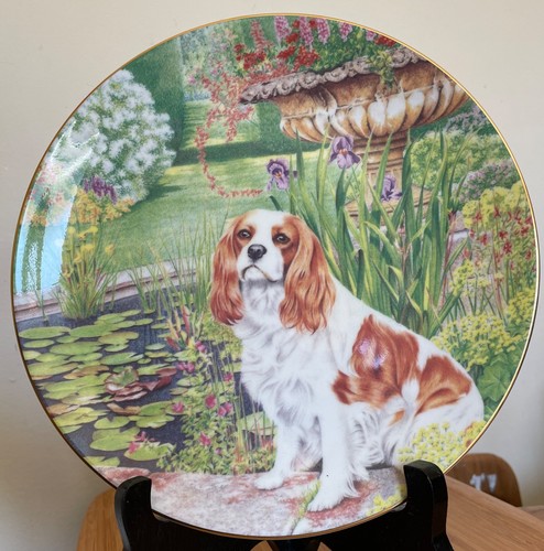 Coalport plate best of - plate,