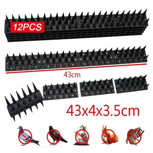 Bird spikes for pigeon - bird,