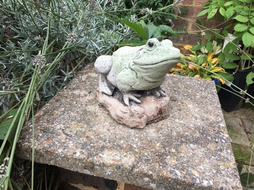 Frog rock garden ornament - on,