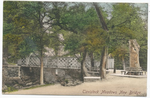 Tavistock meadows new - tavistock,