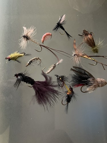 Job lot fishing - job,