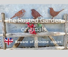 Rusty metal garden birds, Sparrow, Robin, Blackbird, Blue tit, Garden Decor  UK