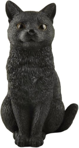 Black cat sitting hand - black,
