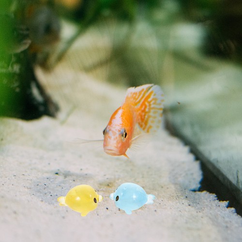Pcs miniature dolphin - pcs,