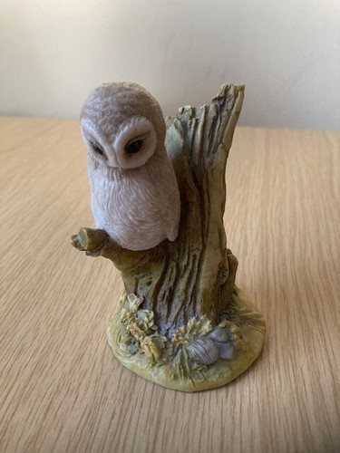 Teviotdale owl tree - teviotdale,