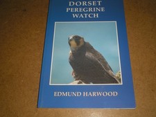 Dorset peregrine watch - dorset,